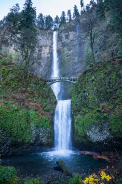 Multnomah Falls, ABD 'nin Oregon eyaletinin Corbett ve Dodson eyaletleri arasında yer alan Troutdale' in doğusundaki Columbia River Gorge 'da yer alan bir şelaledir. Şelaleye, Tarihi Kolombiya Nehri Otoyolu ve 84 nolu Eyaletler Arası Otoyol 'dan ulaşılabilir. Şaplak