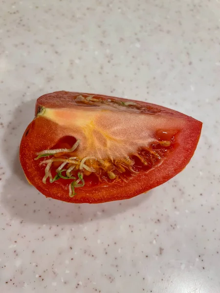 Einige Ursachen Für Das Keimen Von Tomaten Sind Lange Lagerung — Stockfoto