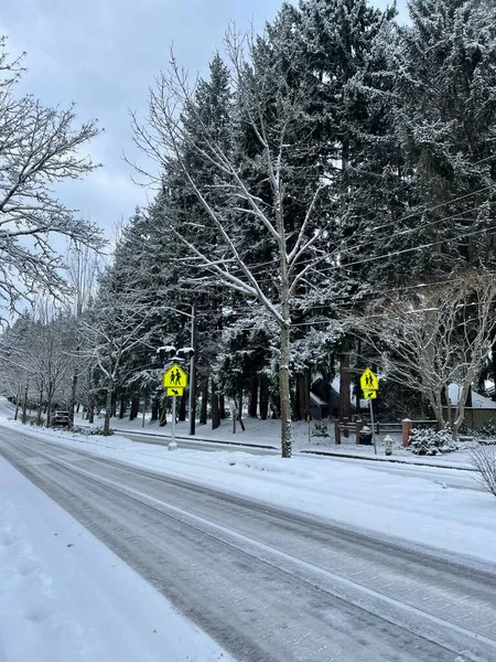 Dia Nevado Dezembro Bellevue — Fotografia de Stock