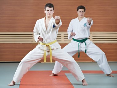 taekwondo çalışmaları, iki adam