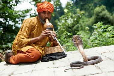 Hindistan'da yılan oynatan kimse