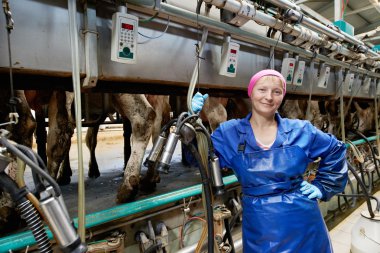 Dairymaid at milking system farm clipart