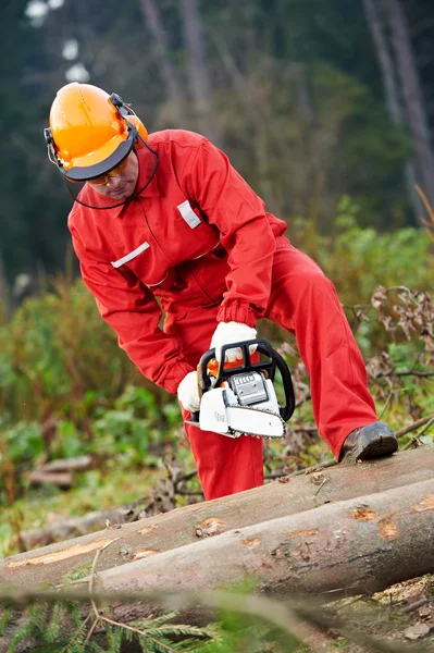 Lumberjack trabalhador com motosserra na floresta — Fotografia de Stock