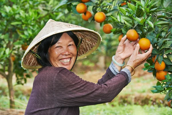Kinesiska jordbruket lantarbetare — Stockfoto