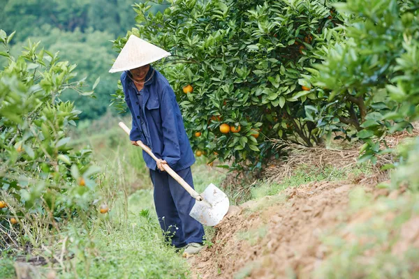 Mezőgazdasági mezőgazdasági dolgozó Kínában — Stock Fotó