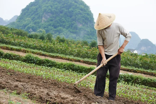 Campesino chino trabajando en el campo — Foto de Stock