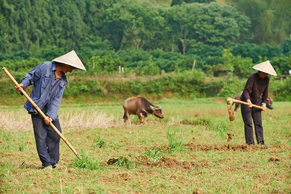 Chinese agricultural farm workers — Stock Photo, Image