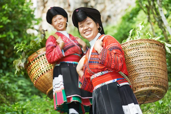 Lächelnde chinesische Minderheitenfrau Yao — Stockfoto