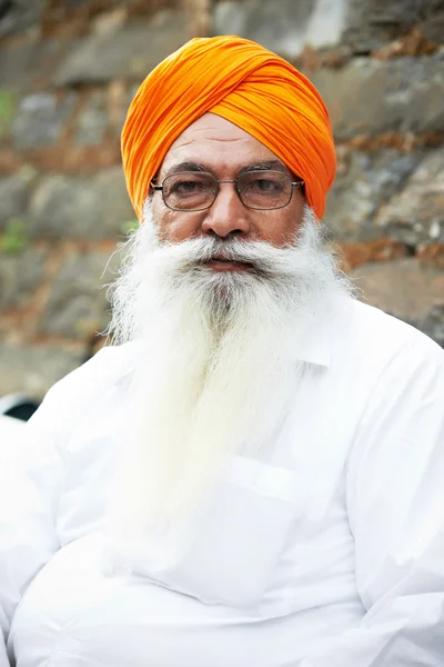 Adulto indiano sikh uomo — Foto Stock