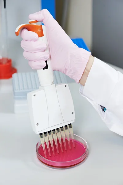 Hand av vetenskapsman med pipett på laboratorium — Stockfoto