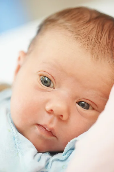 Newborn baby in bedsheet — Stock Photo, Image