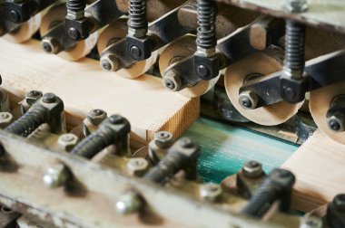 ahşap tahta parmak conta