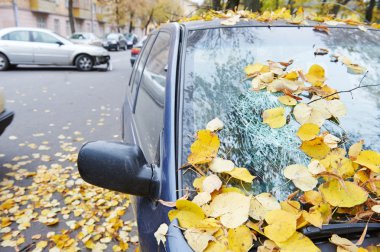 araba kazasında trafik kazası