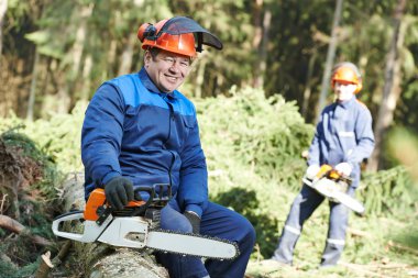 Oduncu işçi orman chainsaw ile