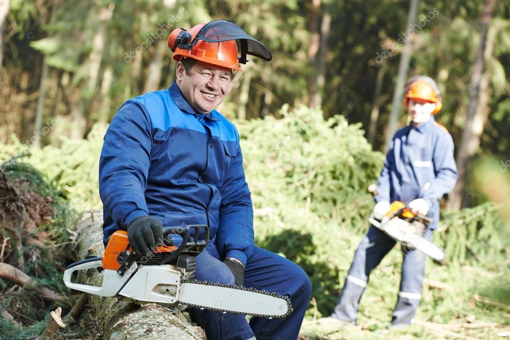 Лесоруб на дереве. Техника безопасности при работе бензомоторными пилами. Требование правил охраны труда при работе с бензопилой. Бензопила мультяшная. Husqvarna режет деревья.