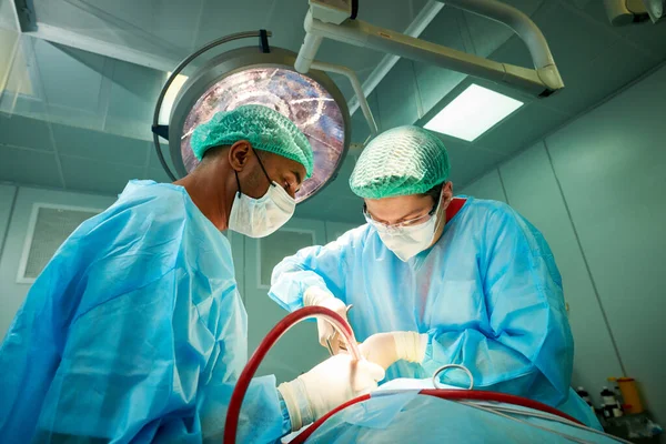 Cirurgia de emergência. Cirurgiões durante intervenção cirúrgica na clínica — Fotografia de Stock