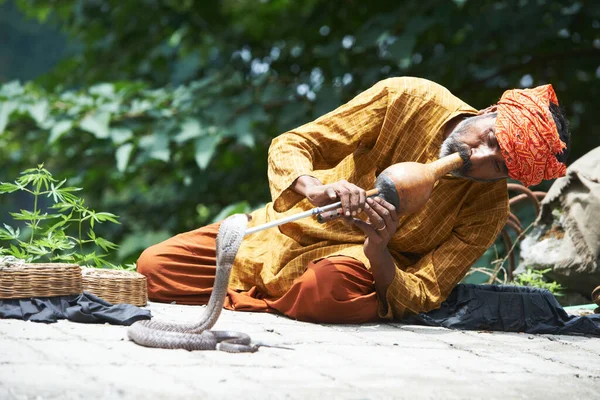 Indian Snake Encantador Adulto Homem Turbante Tocando Instrumento Musical Antes — Fotografia de Stock