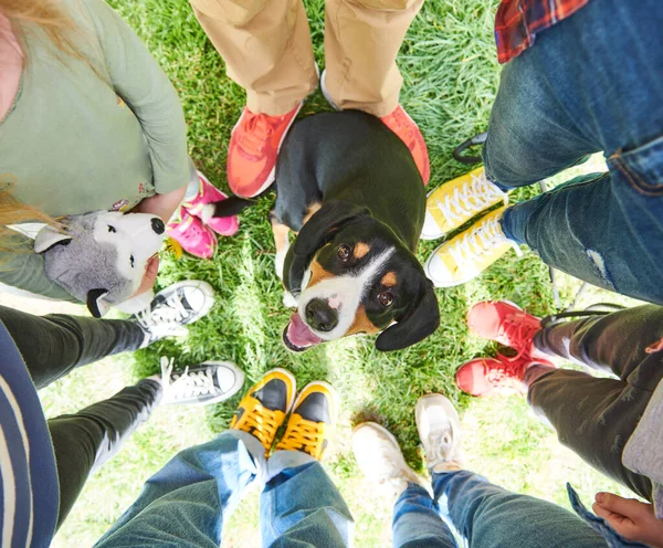 緑の芝生の上の人々の足 サークル機知に富んだ犬に立っている チームまたは友人の結合の概念 トップ表示 — ストック写真