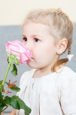 pembe Gül kokulu küçük çocuk