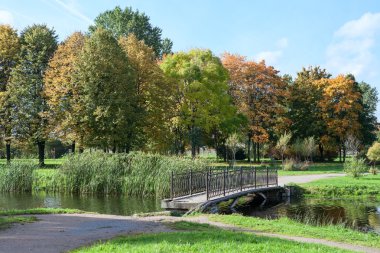 eski nehir sonbahar Park karşısında yaya köprüsü. kimse