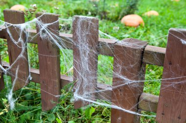 web üzerinde ahşap çit Bahçe ve olgun kabak yeşil çimenlerin üzerinde çok