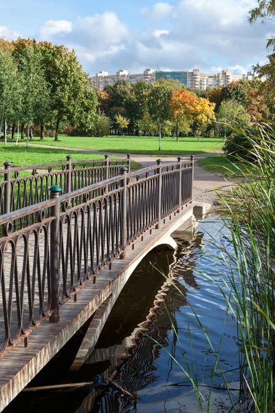 Sonbahar sezonu şehir parkında nehrin karşısındaki yaya köprüsü — Stok fotoğraf