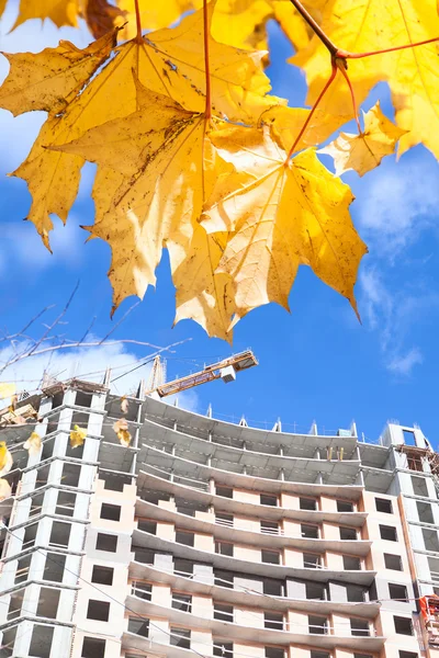 Building ander construction with yellow maples — Stock Photo, Image