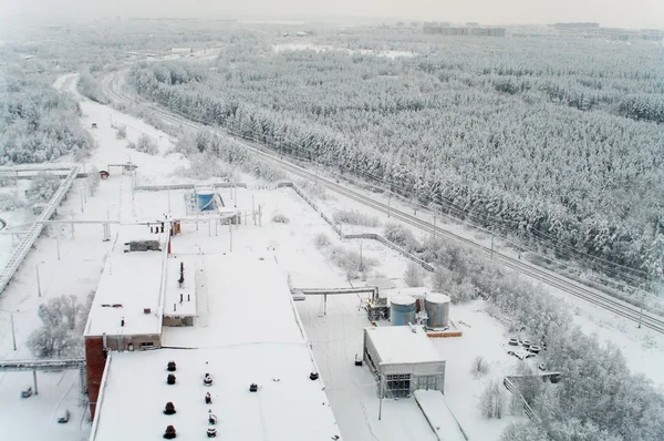 Stagione invernale con la ferrovia in foreste sempreverdi — Foto Stock