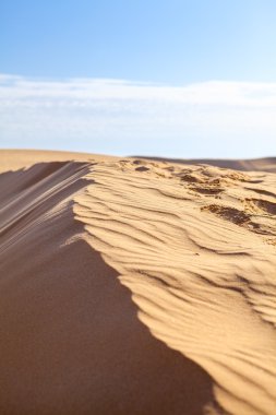 Mavi gökyüzü ile sahara çöl kumulları