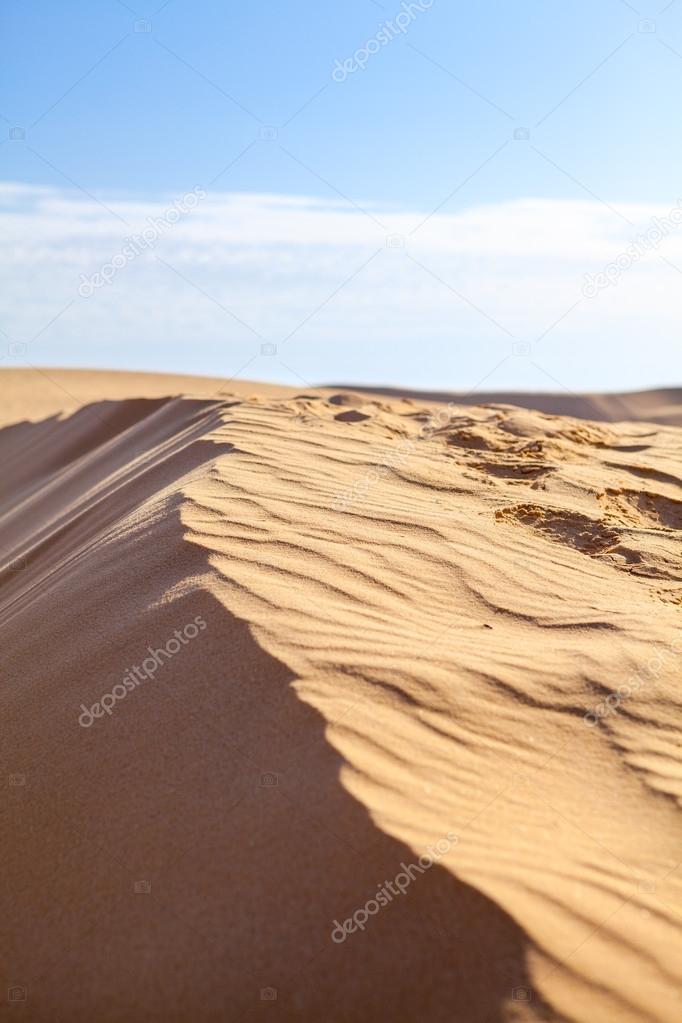 Sand dunes in Sahara desert with blue sky