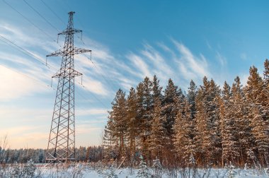 Kış dökmeyen orman içinde güç elektrik yüksek gerilim direkleri