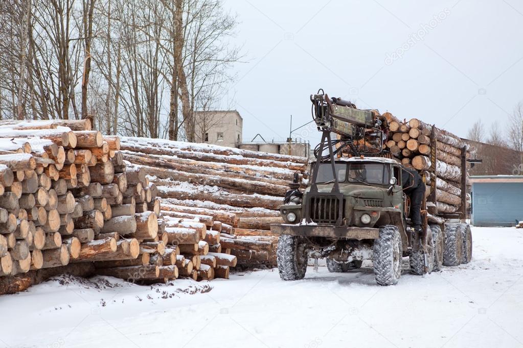 Log loader track with timber in lumber mill in winter season