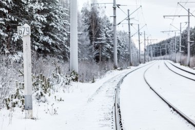 Kış ormanda boş elektrik ana hat tren