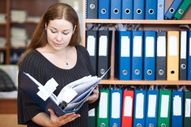executive iş kadını bakıyorsun belgelerin klasörde Office