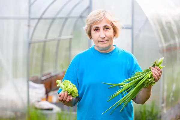 Glücklich reife kaukasische Frau mit Zwiebeln und Salat im Garten — Stockfoto