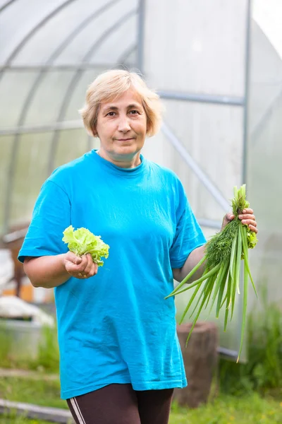 Glückliche senior caucasian Frau mit Zwiebeln und Salat stehen gegen Treibhausgas — Stockfoto