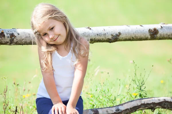 美しい小さな女の子、夏の日 — ストック写真