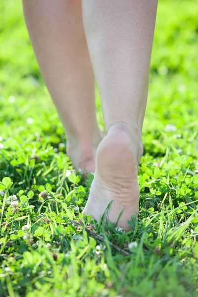 Frauenbeine — Stockfoto