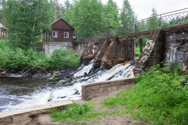 Göleti ve köprü ormandaki nehir
