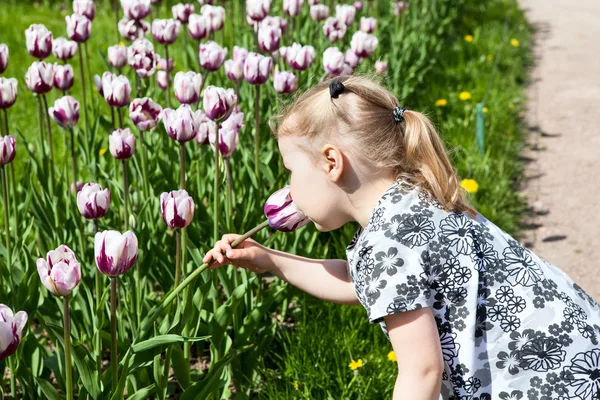 Kleines Mädchen mit Tulpe — Stockfoto