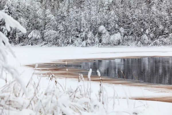 Puddle d'eau fondue — Photo