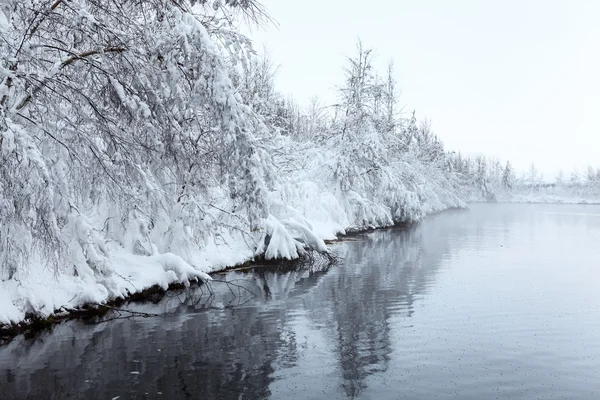 Paysage hivernal avec lac — Photo