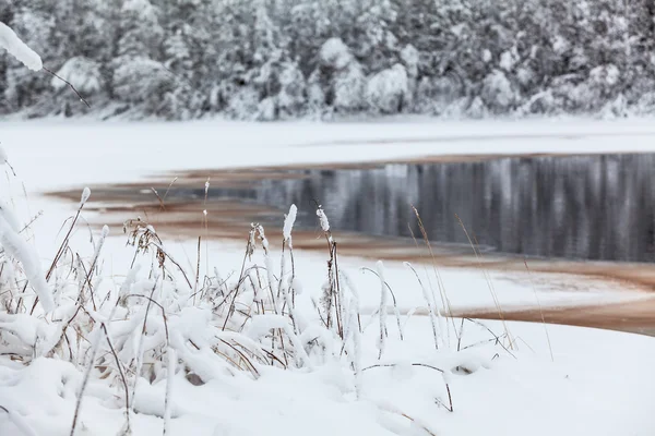 De oever van het meer van de winter — Stockfoto