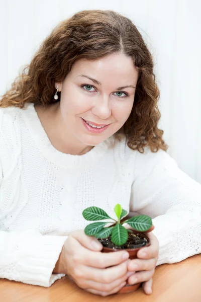 Mulher sentada à mesa e segurando planta verde em vaso — Fotografia de Stock