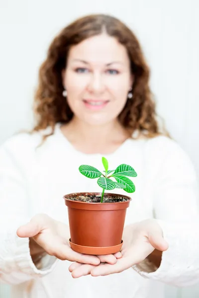 若い女性に引き伸ばす前方鍋植物 — ストック写真