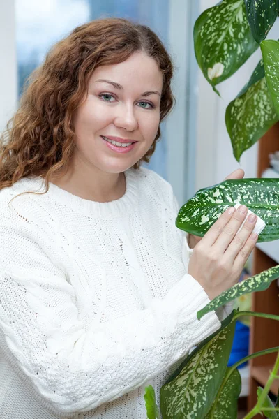 Vrouw zorg voor planten — Stockfoto