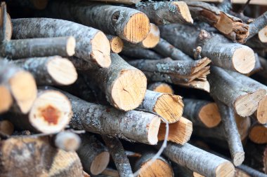 Yığılmış Kızılağaç yakacak odun