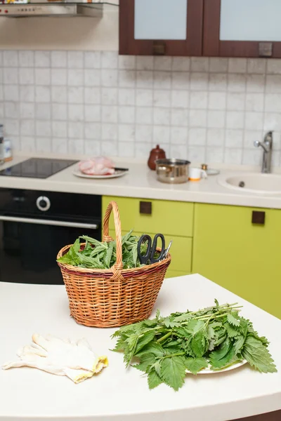 Nettle bladeren — Stockfoto