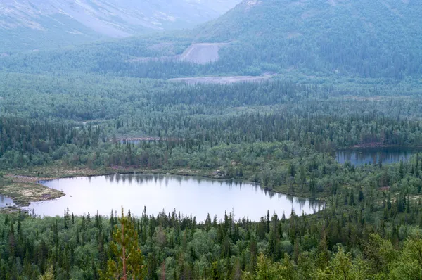 Bergssjöar i skogen — Stockfoto