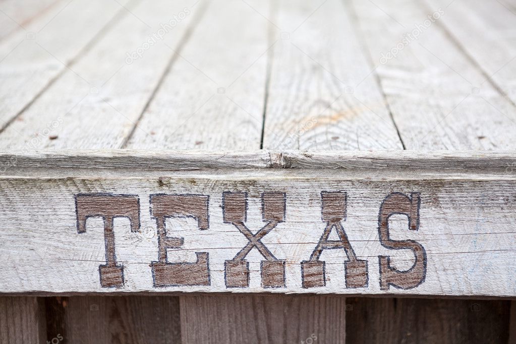 Texas inscription on plate